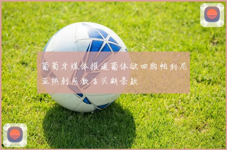 葡萄牙媒体报道葡体欲回购帕利尼亚热刺或激活买断条款